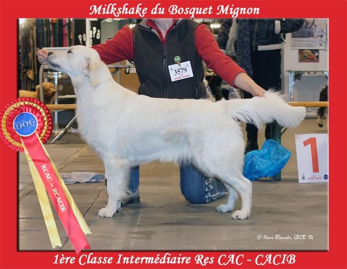 Milkshake Du Bosquet Mignon